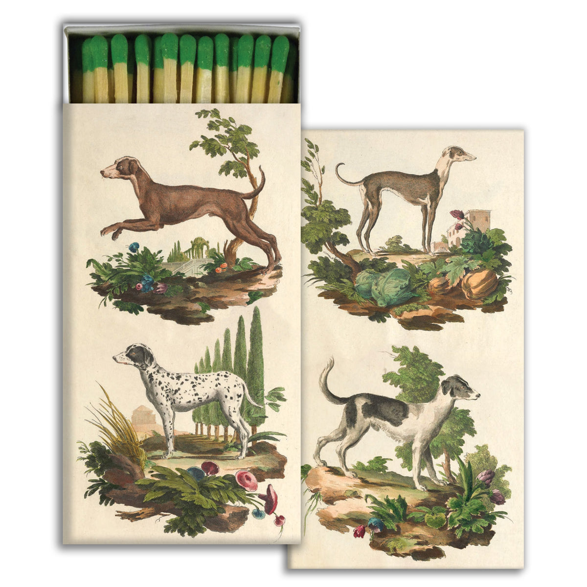 Matches