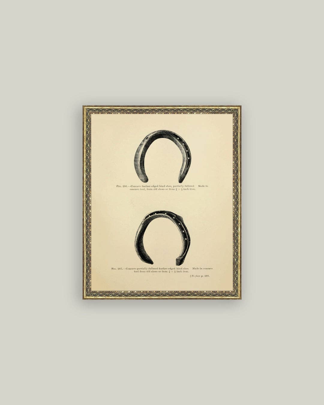 Horse Shoe Study
