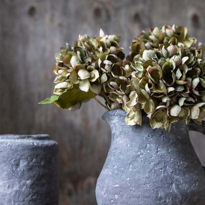 HYDRANGEA CHLORIS STEM