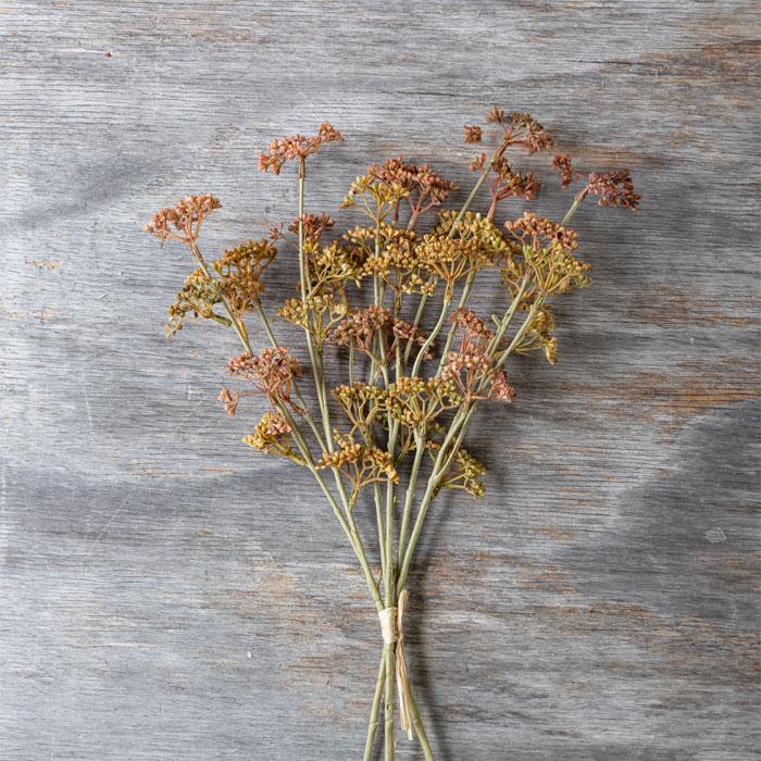 MEADOW SEDGE STEM