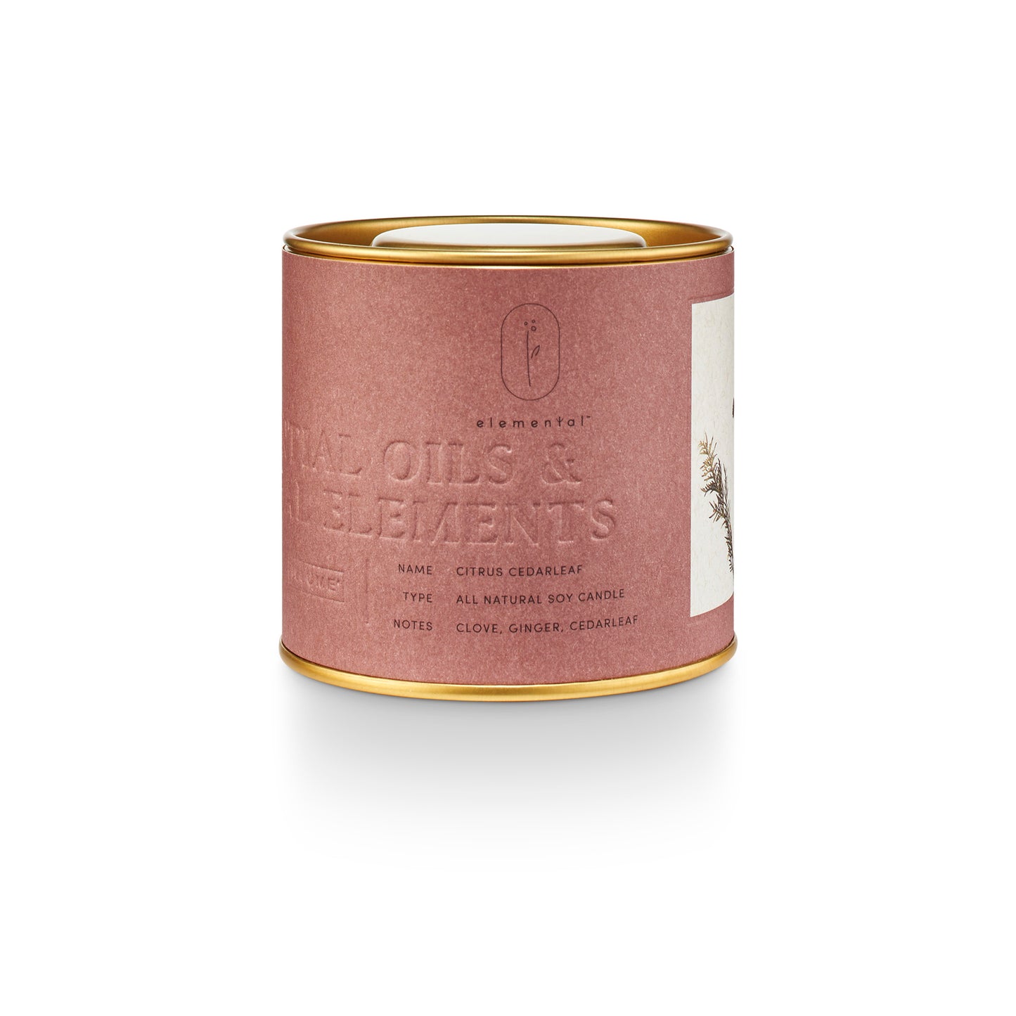 Citrus Cedarleaf Natural Tin Candle