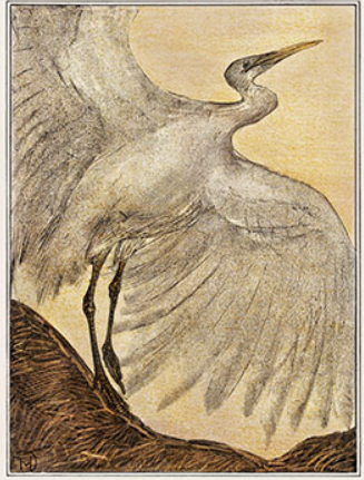Heron with Open Wings Artwork