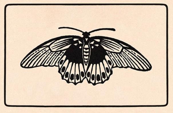 Butterfly Outline Artwork