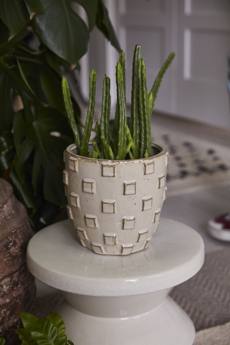 Ticul Pot, Tan