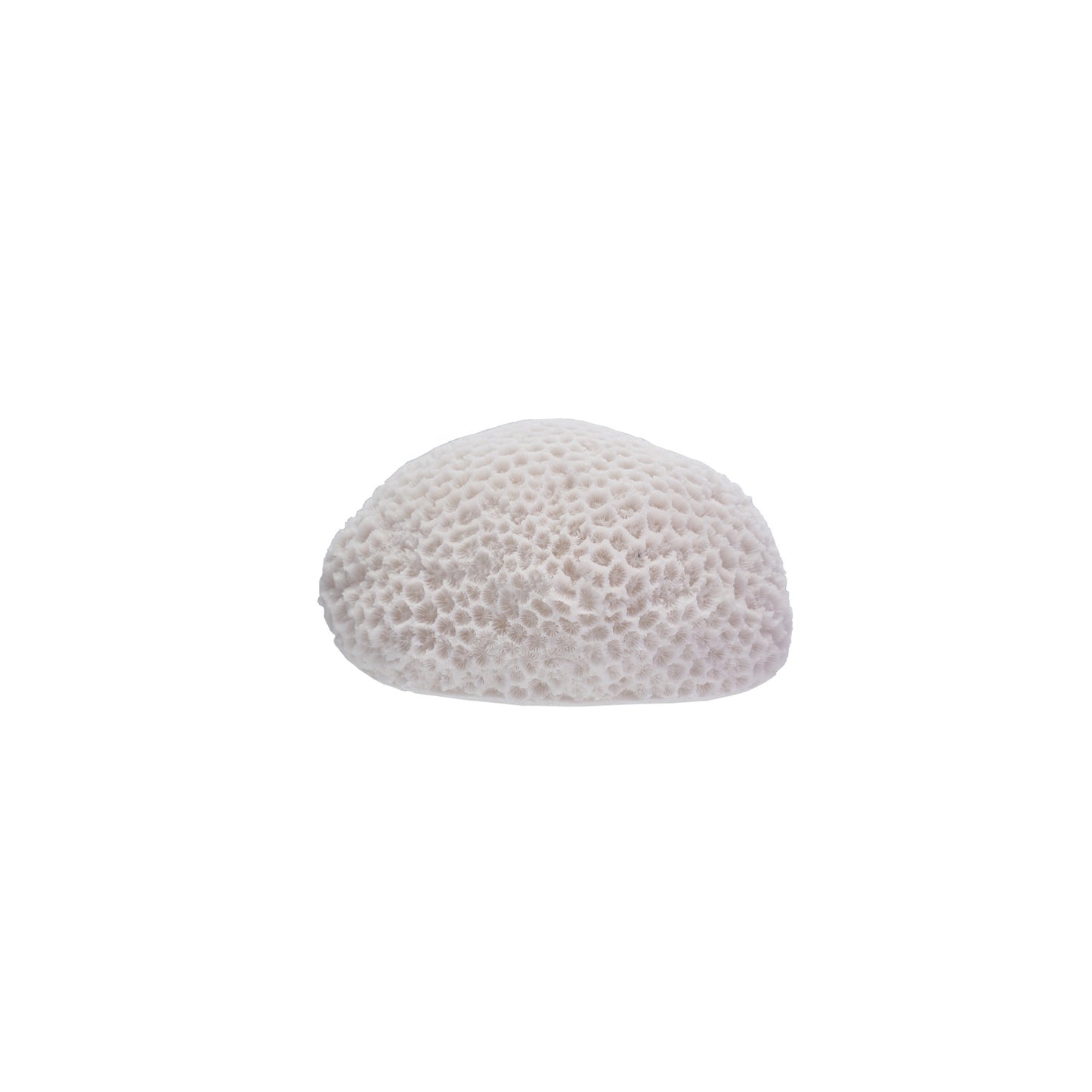 Resin LED Coral Shaped Light