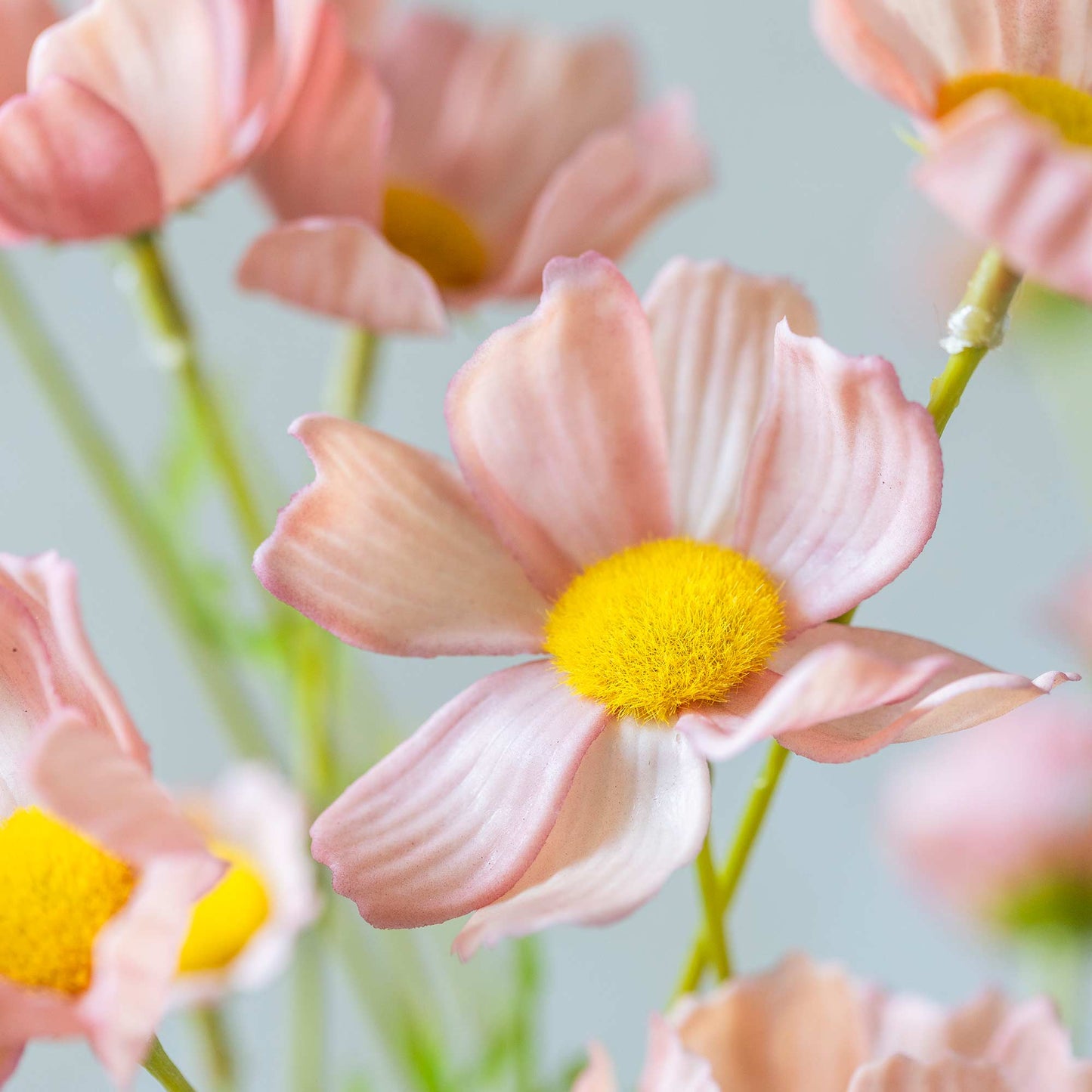 ARTIFICIAL COSMOS MEADOW (Real Touch), SOFT PINK