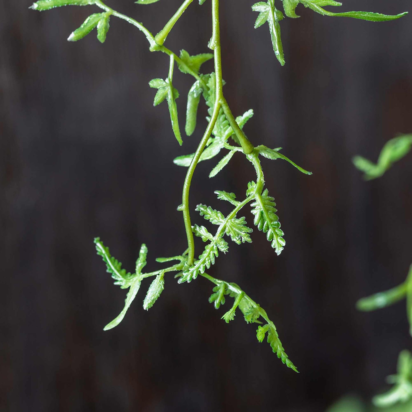 ARTIFICIAL FERN BRANCH, SOFT GREEN