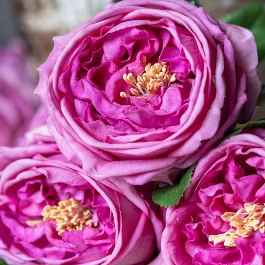 ARTIFICIAL GARDEN ROSE (Real Touch), MAUVE