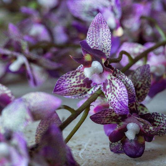 ARTIFICIAL ONSIDIUM ORCHID