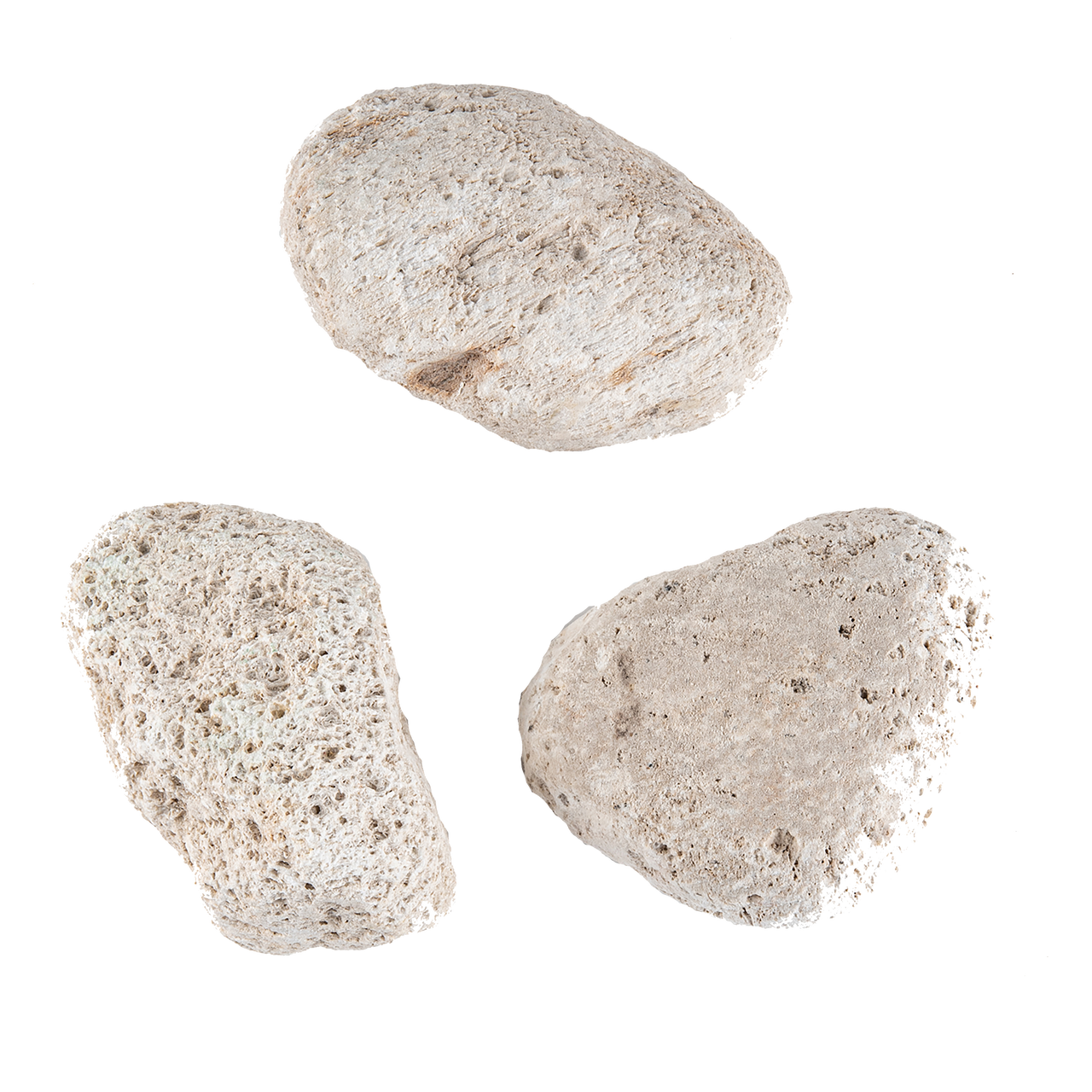 Pumice Stone