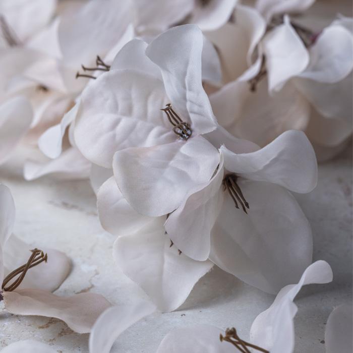 BOUGAINVILLEA BLUSH STEM