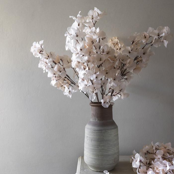 BOUGAINVILLEA BLUSH STEM