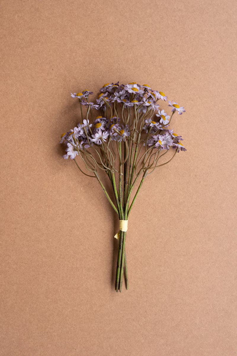 Chamomile Bundle