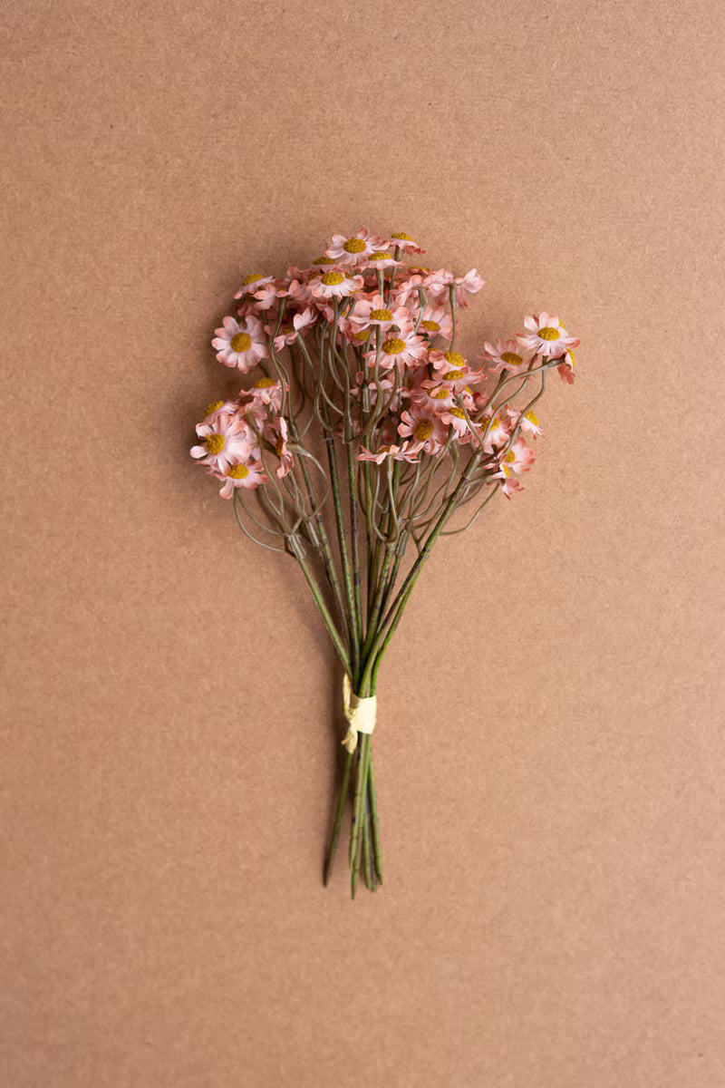 Chamomile Bundle