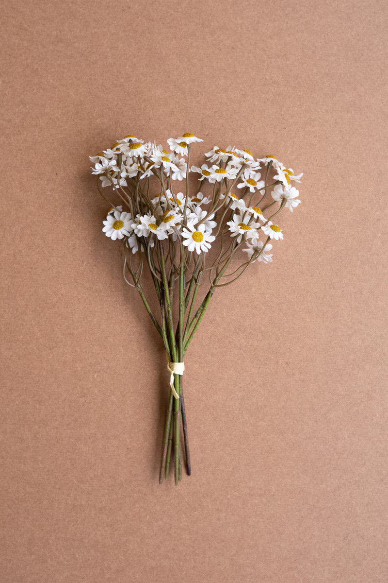 Chamomile Bundle