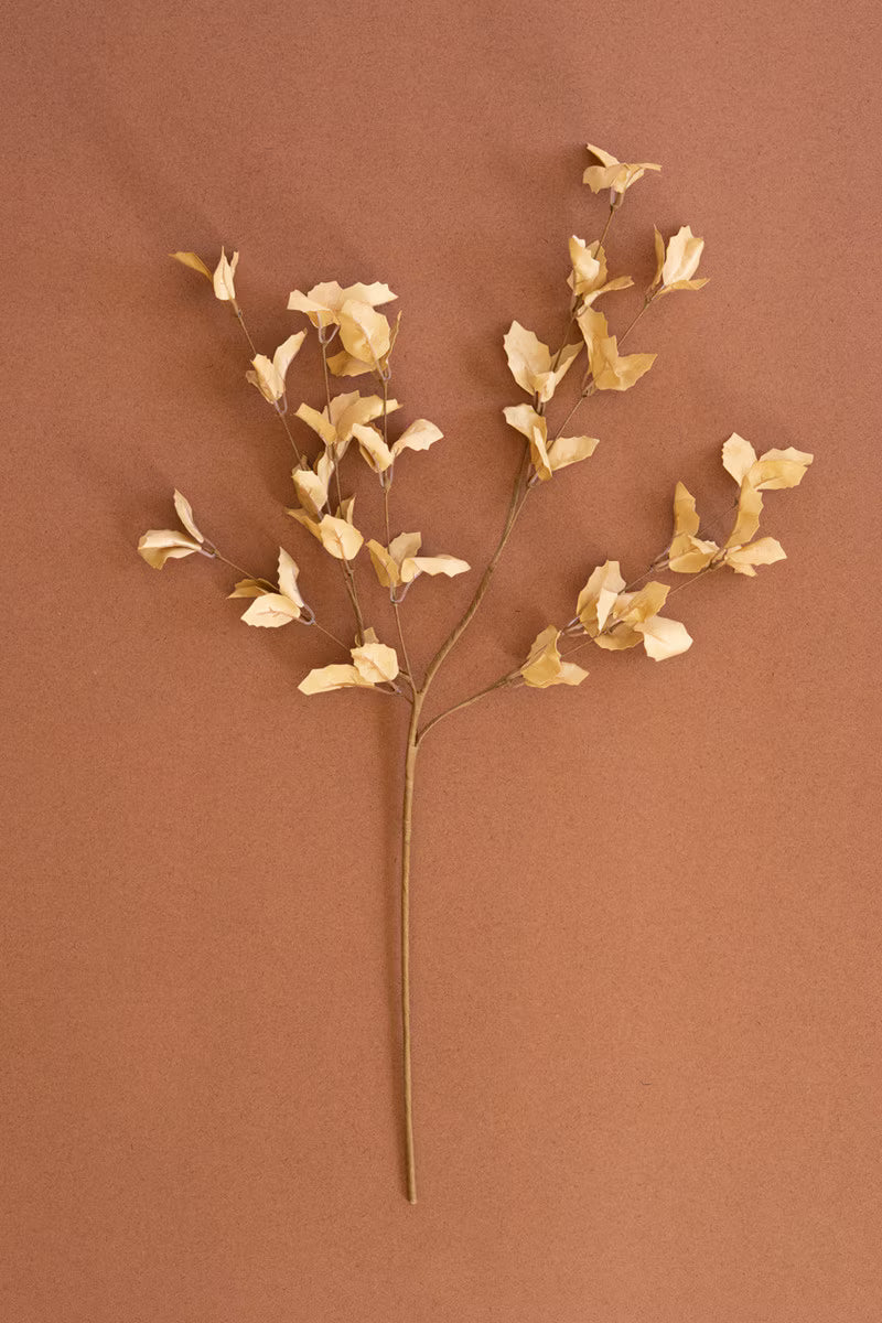 Botanica #9038