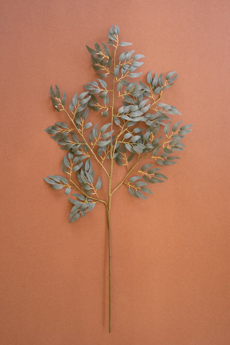 Botanical #3436