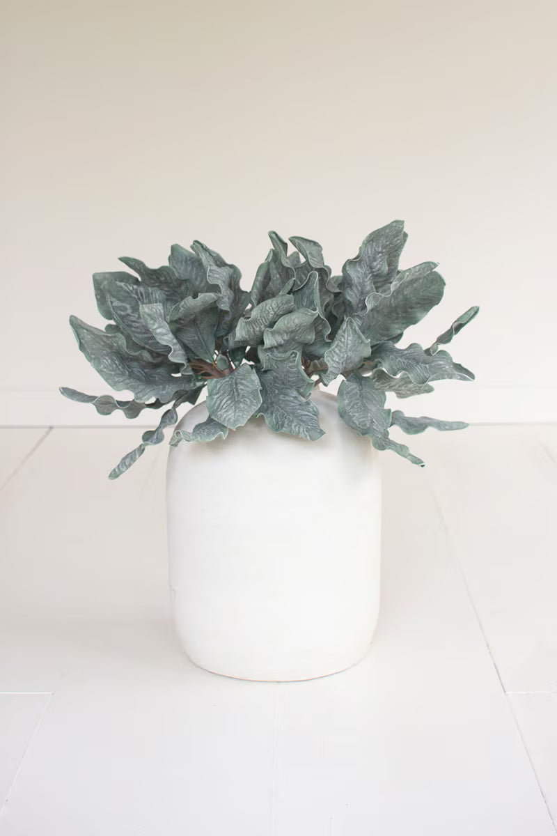 Botanica #3636