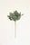 Botanica #3636