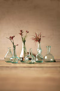 Bottle Bud Vases