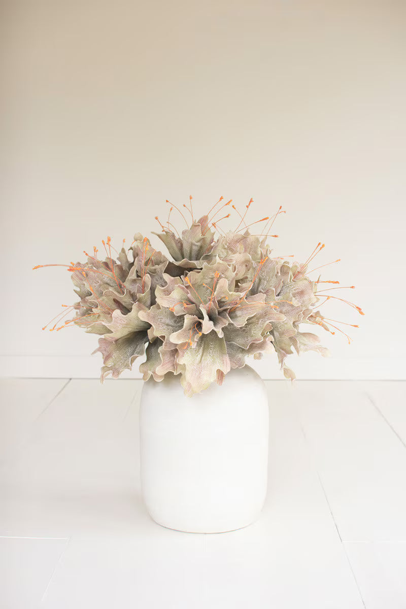 Botanica 2848