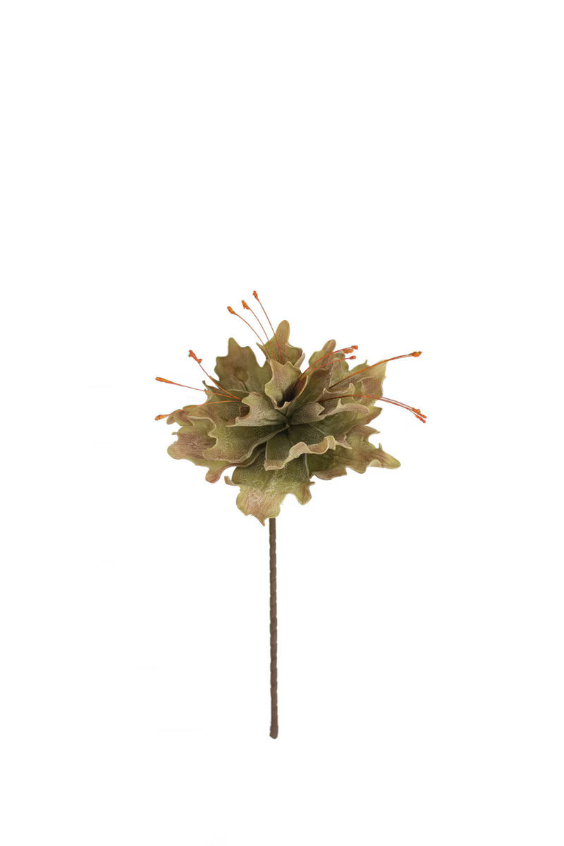 Botanica 2848
