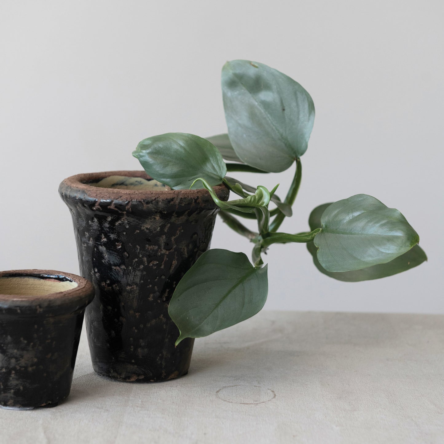 Black Terra-cotta Planter