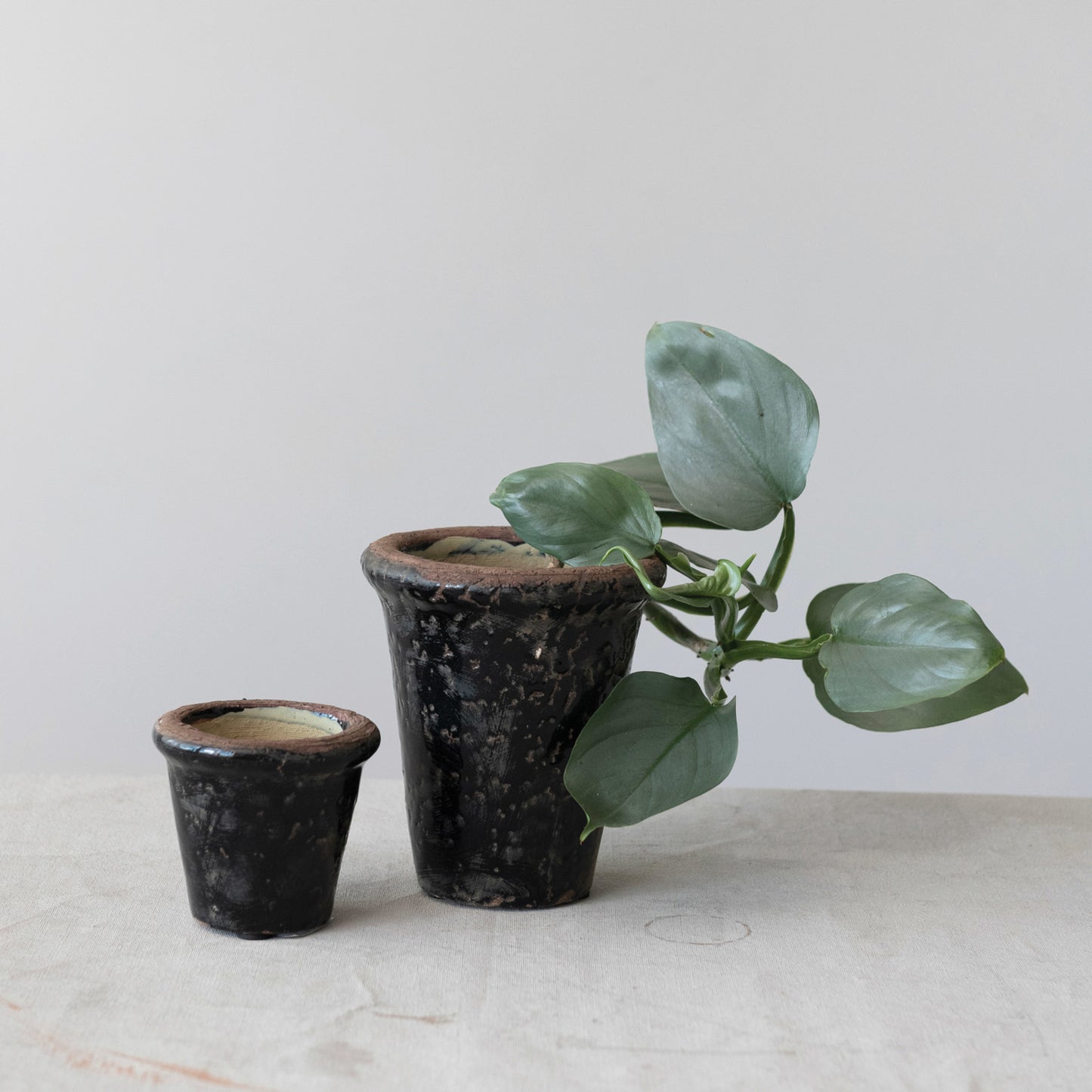 Black Terra-cotta Planter