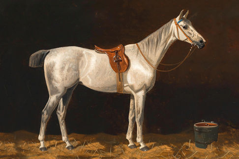 White Horse in Stable Print