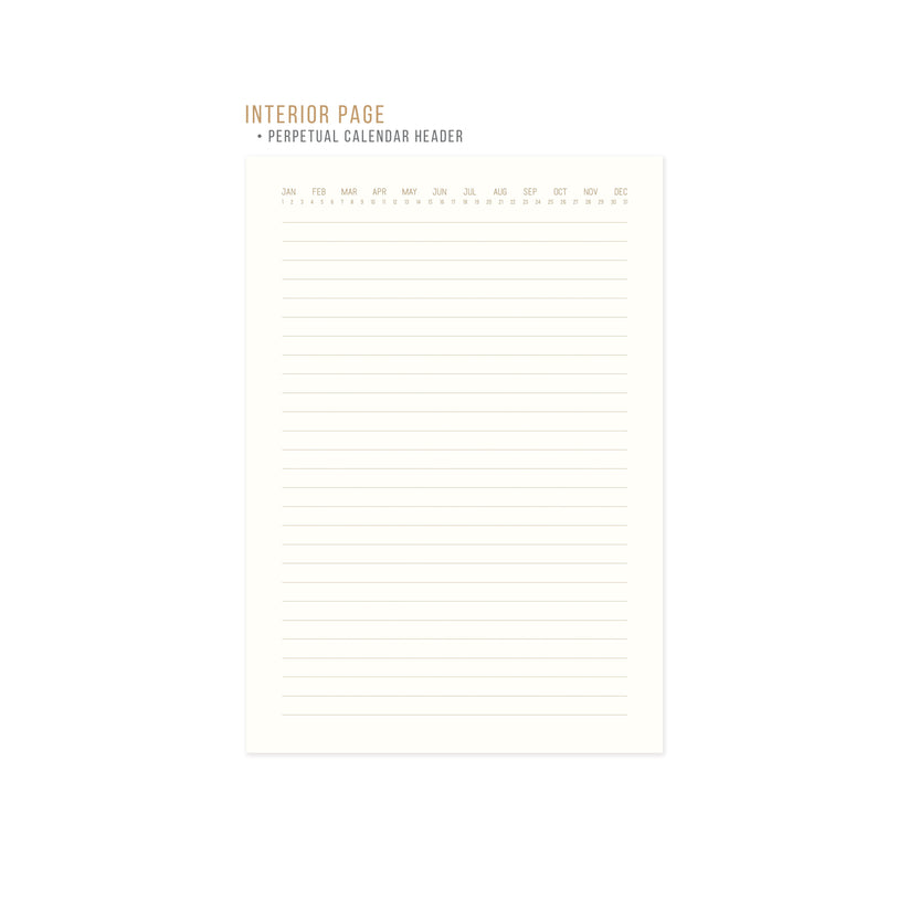 Hard Cover Suede Cloth Journal with Pocket - Radiant Rays
