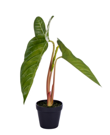 Artificial Alocasia Frydek Potted Plant