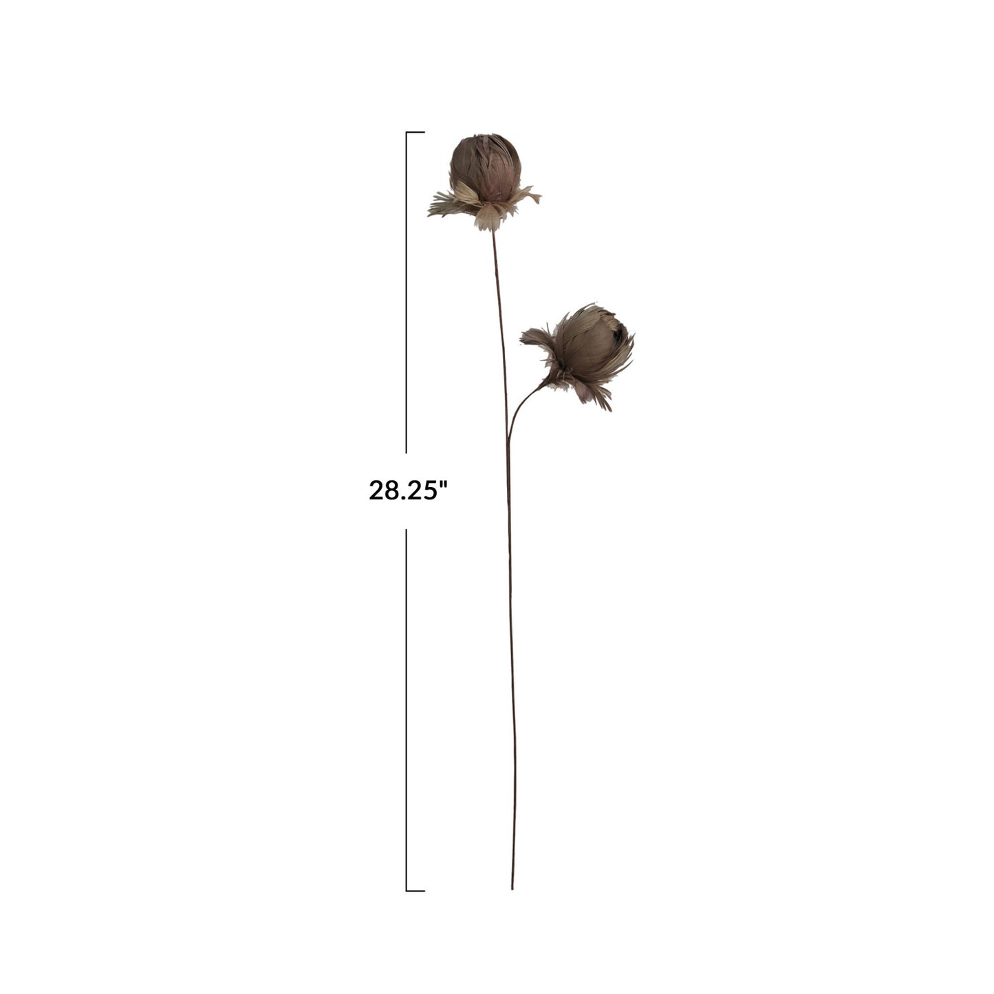 Feather Flower Stem, Taupe