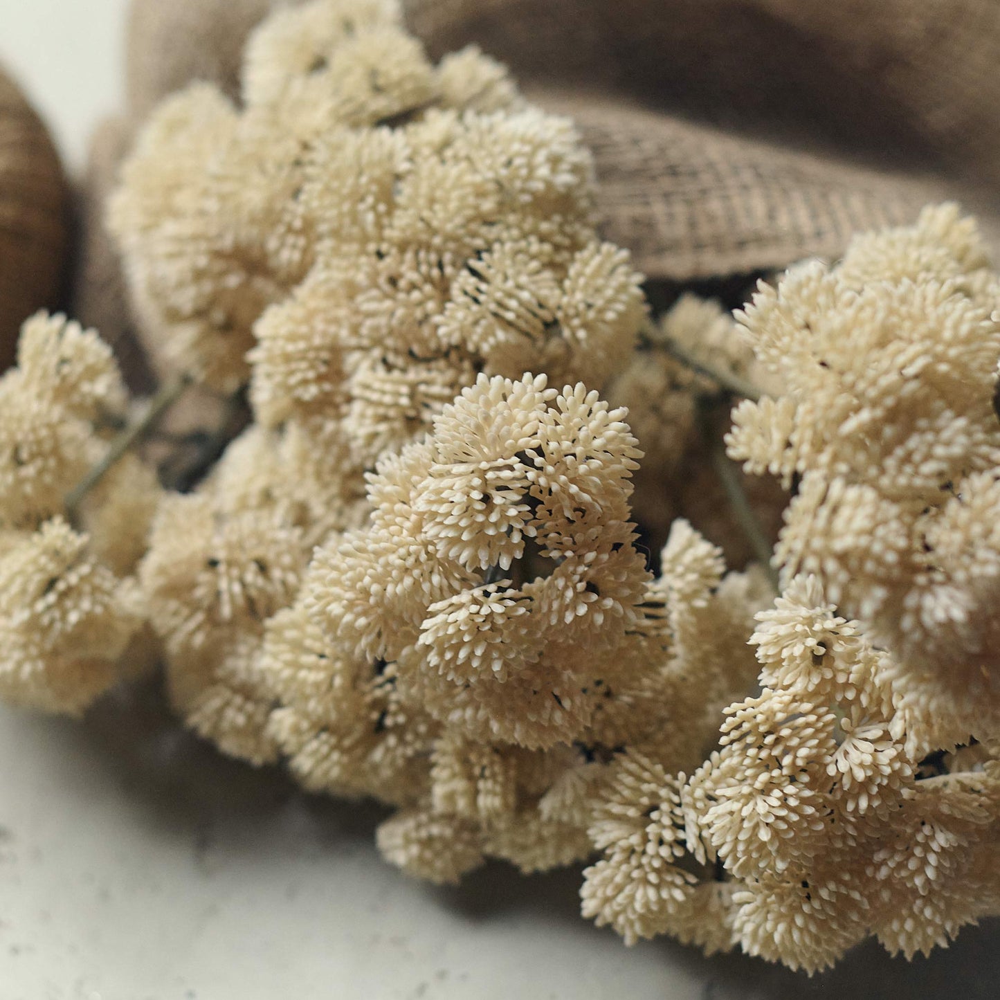 ARTIFICIAL SEDUM CREAM