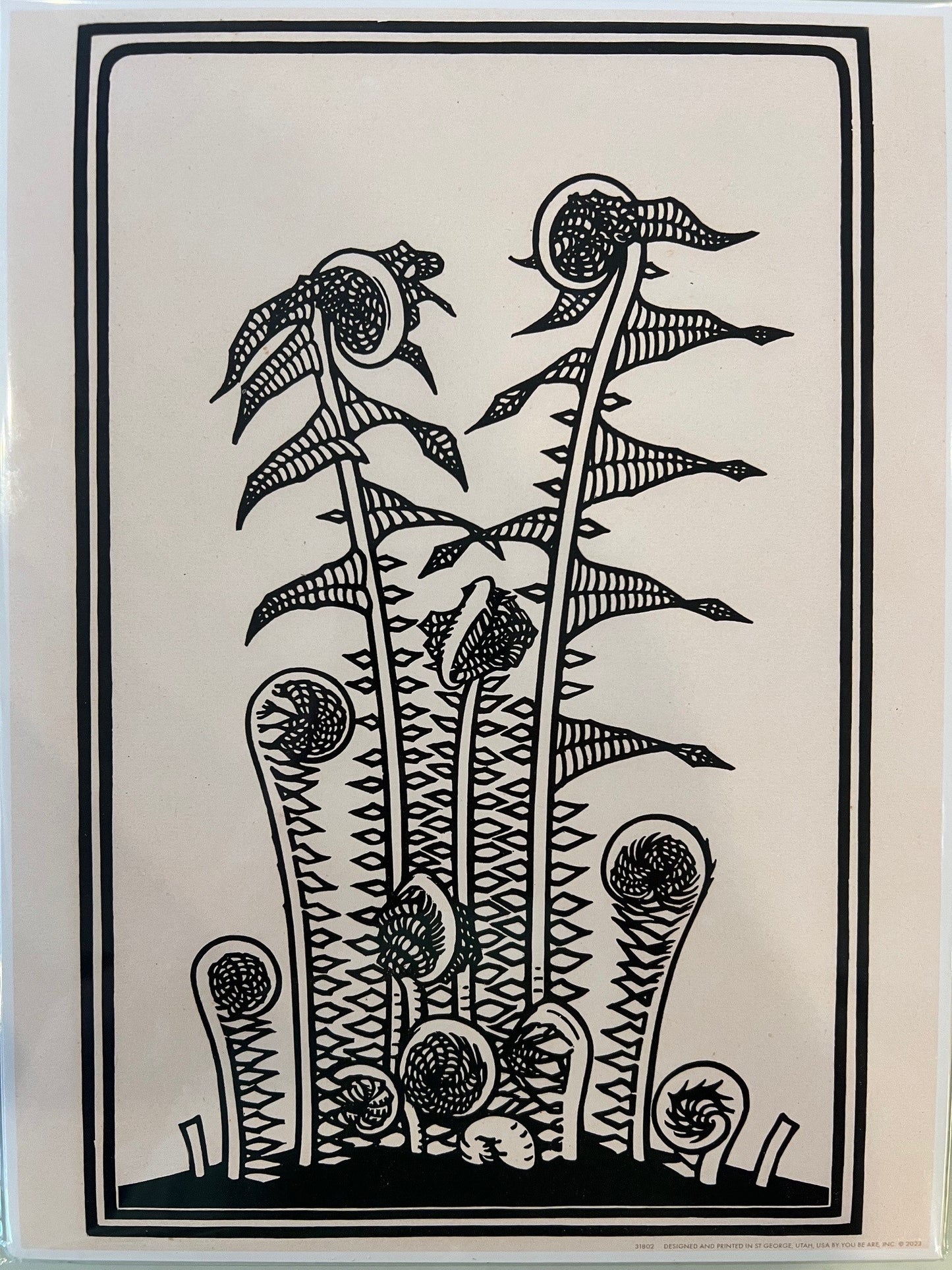 Black & White Abstract Botanical Artwork
