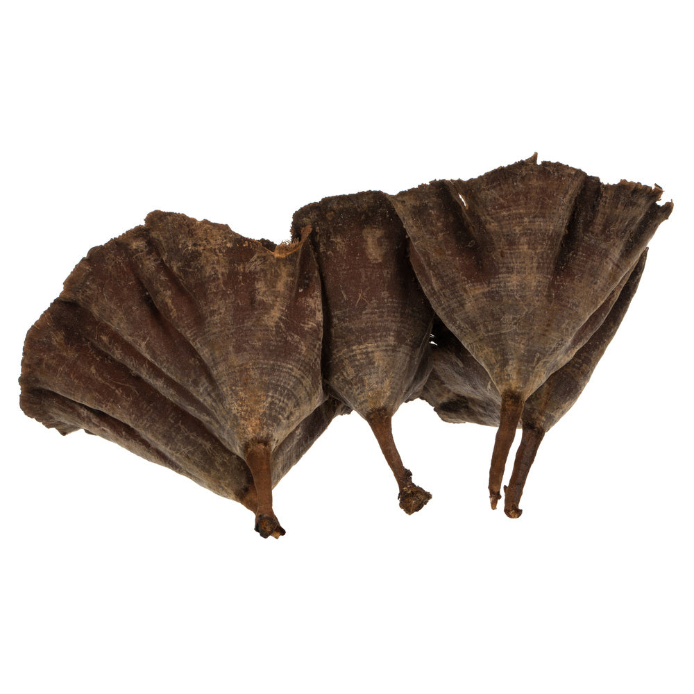 Natural Calice Multipiece Specimens