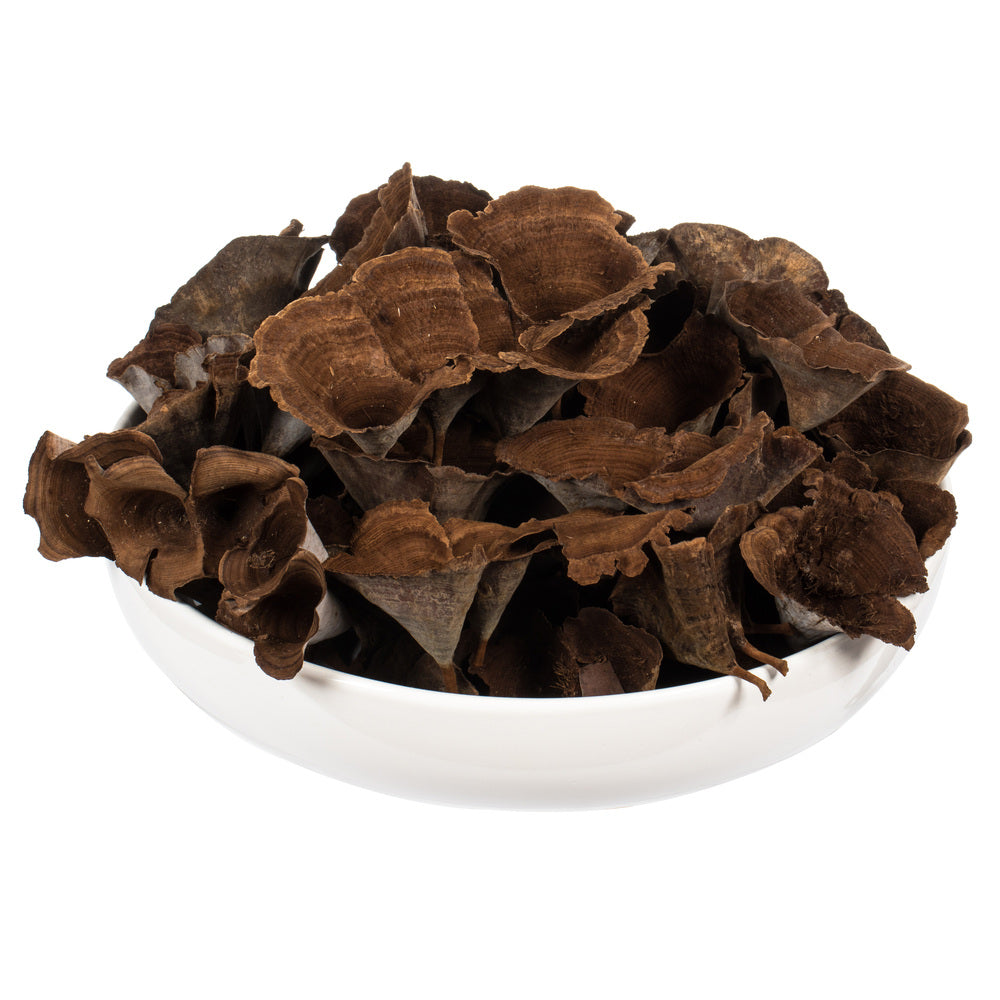 Natural Calice Multipiece Specimens