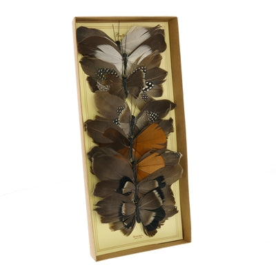 Feather Butterfly on Clip