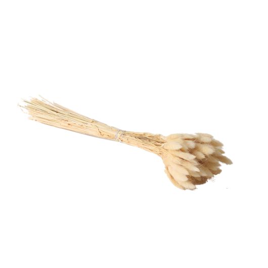 Largus Grass Bunch Botanical 30"t