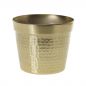Cato Pot