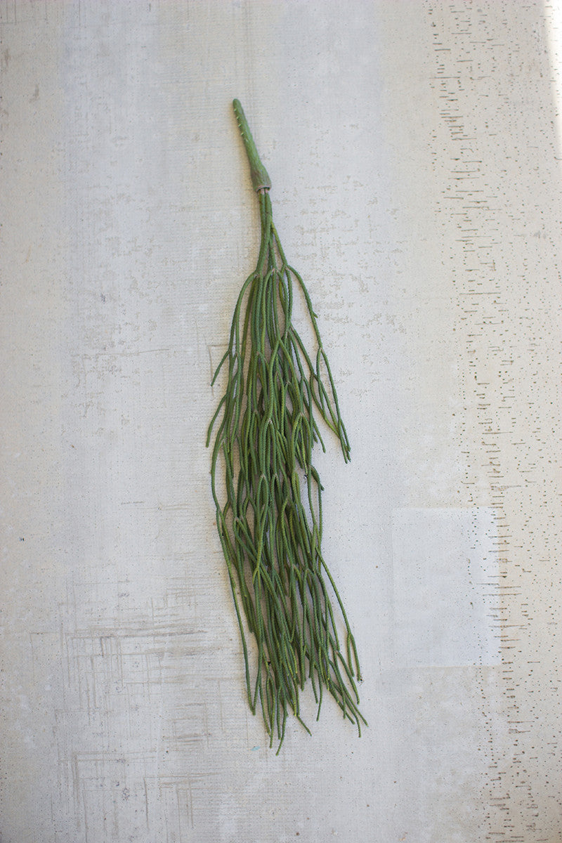 The perfect addition to any arrangement for that overflowing effect or add to the hanging basket for the abundant green touch. Stem is 25"tall.