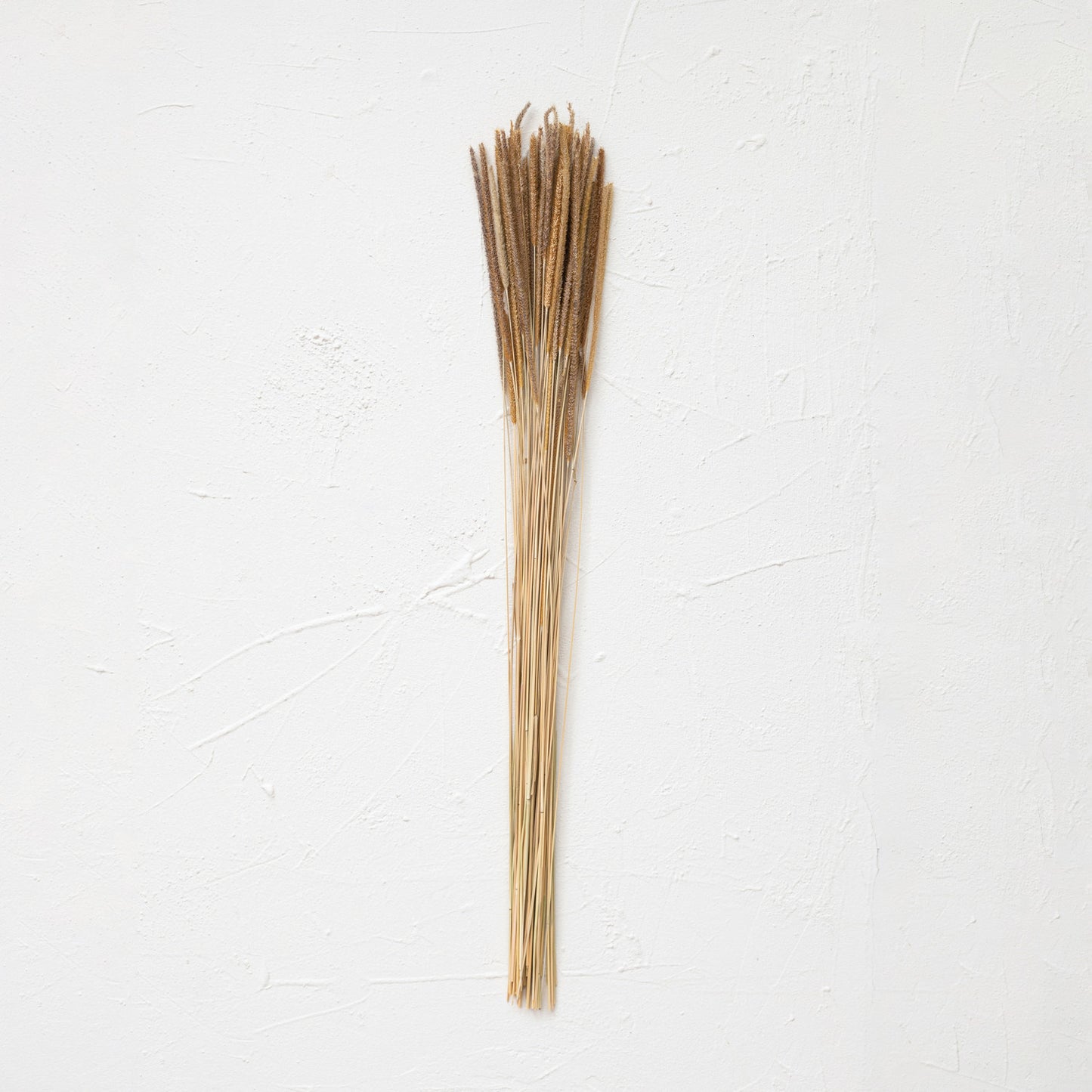 Dried Natural Goldenrod Bunch