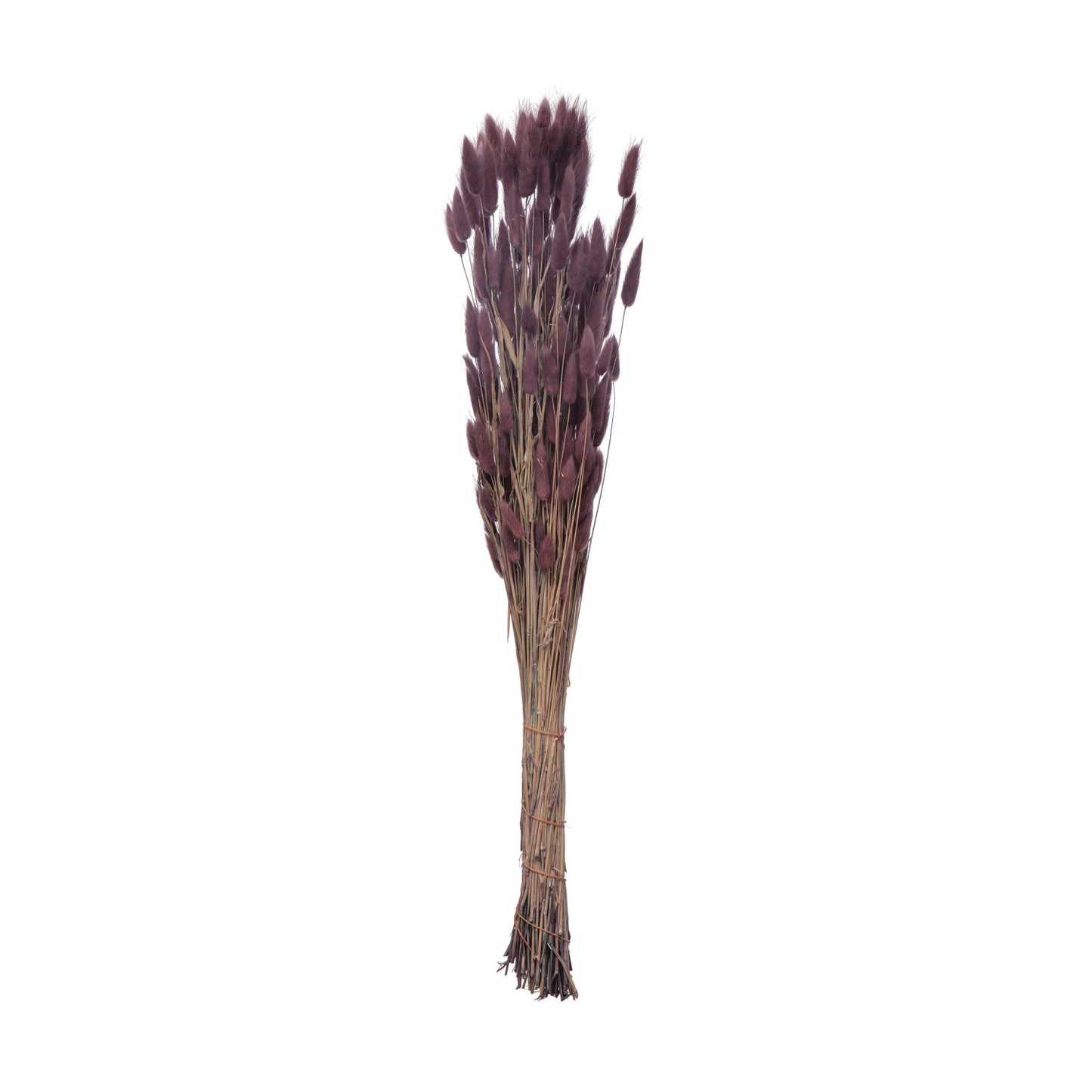 Dried Natural Bunny Tail