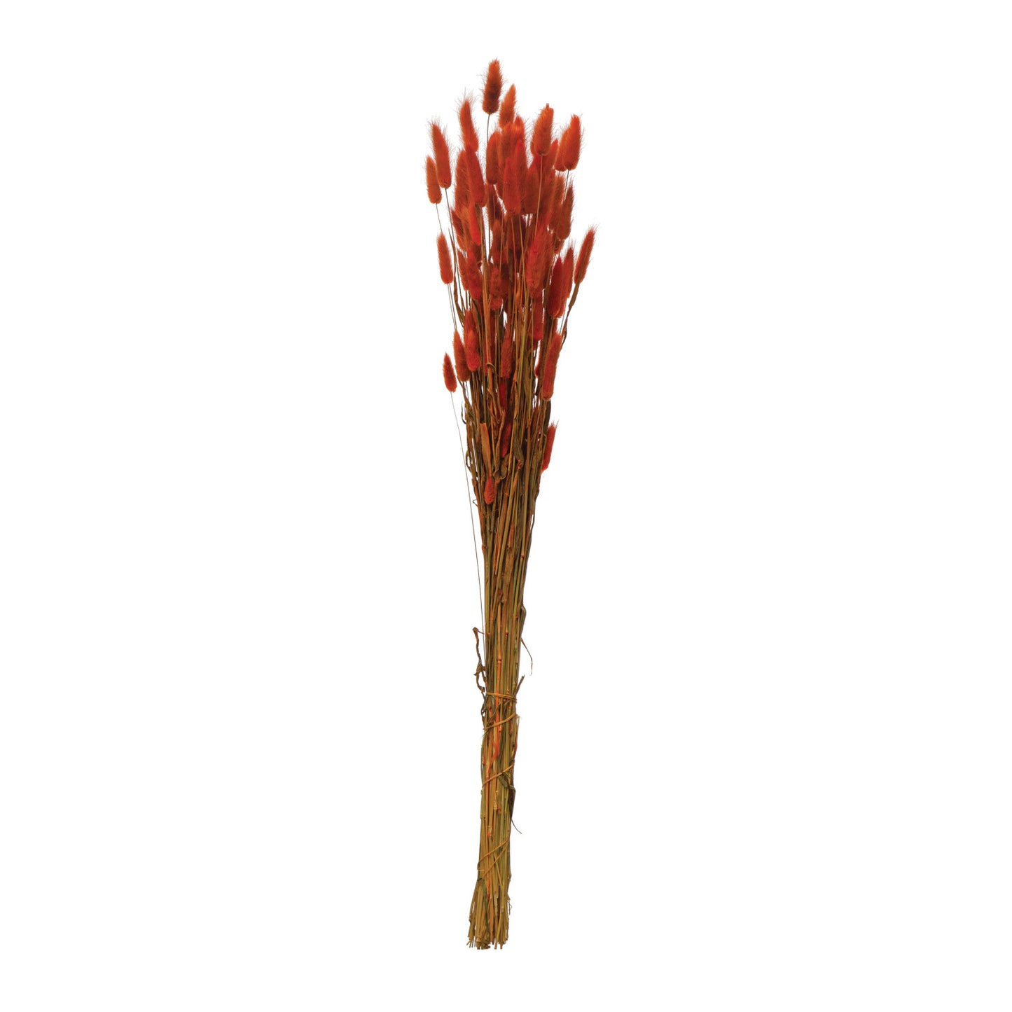 Dried Natural Bunny Tail