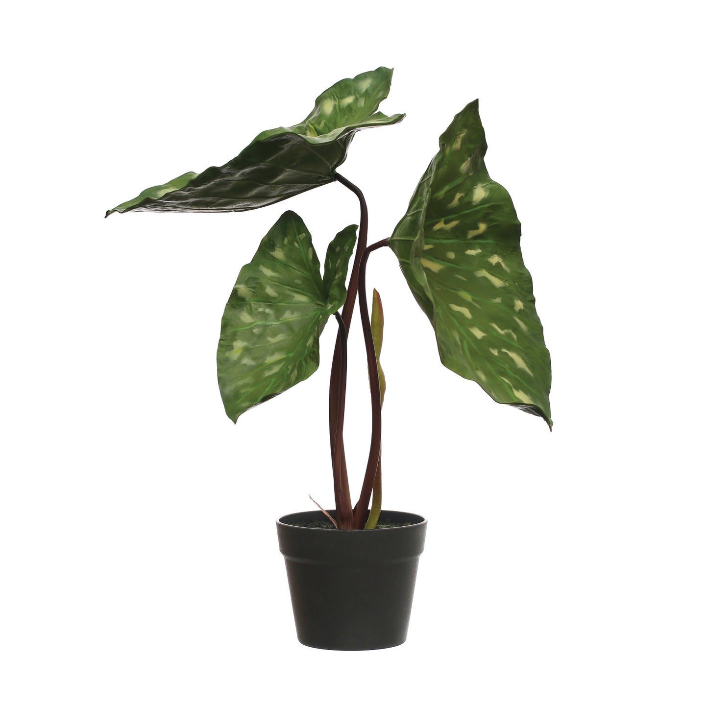 Faux Elephant Ear Plant in Plastic Pot & Black