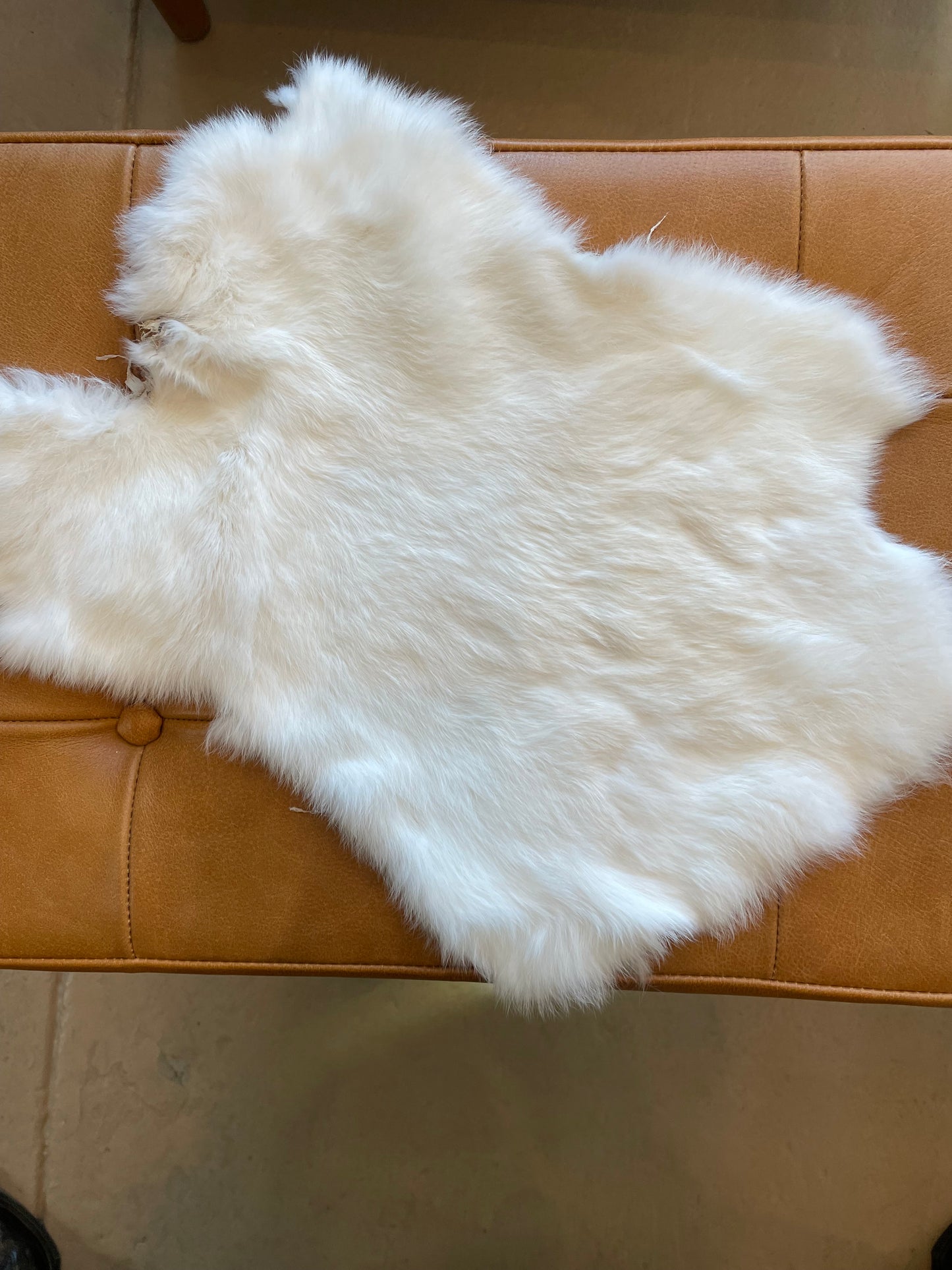 Rabbit Fur Pelt
