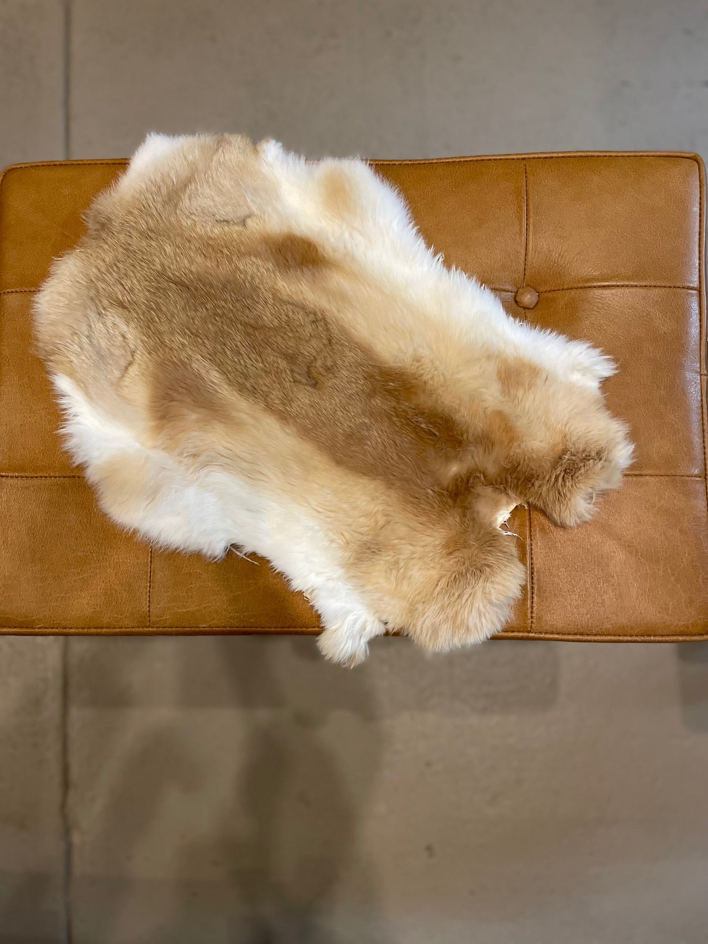 Rabbit Fur Pelt