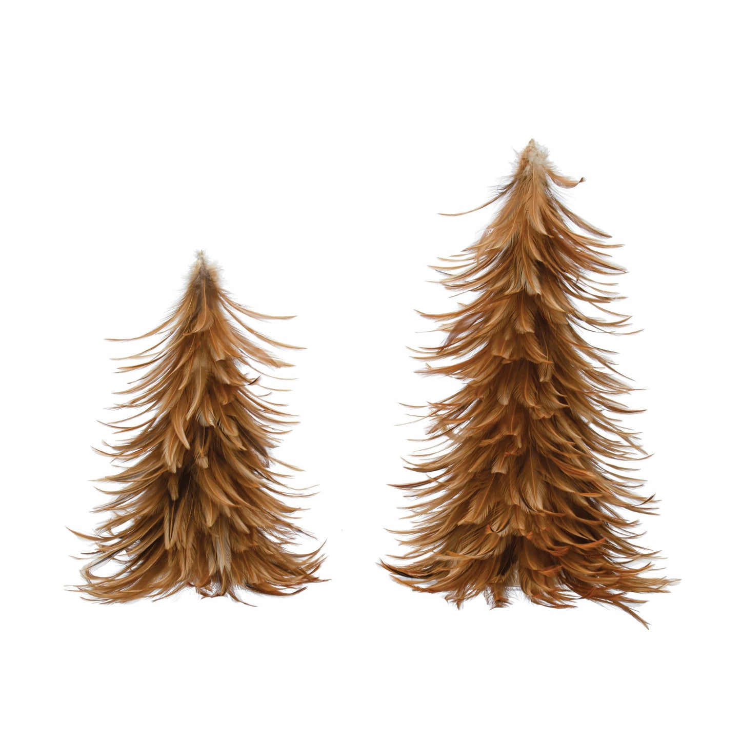 Feather Trees