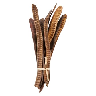 Boho and Tropical are the Approximately 21"H Dried Natural Gulmohar Fruit pods. Pricing is for each. Group a dozen in a basket on the patio to make a unique summer arrangement.