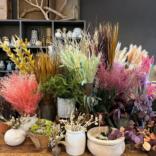 Terramania Shop has Mid-Century, Boho, Glam Decor, Botanicals, Plants ...