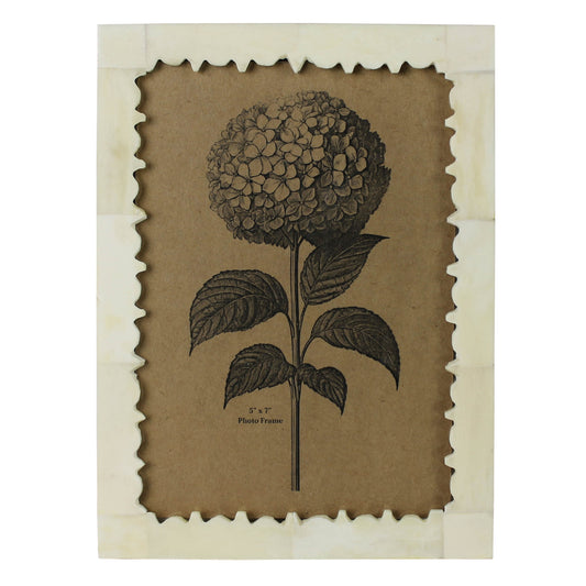 Carved Edge Bone Frame - 5x7